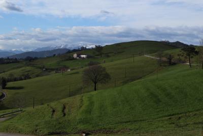 Прикрепленное изображение: IMG_1130_w.jpg